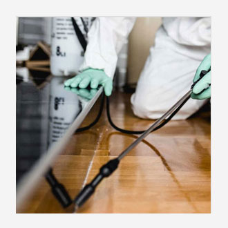 Pest Control Services in Chakan | MS Deep Cleaning Services